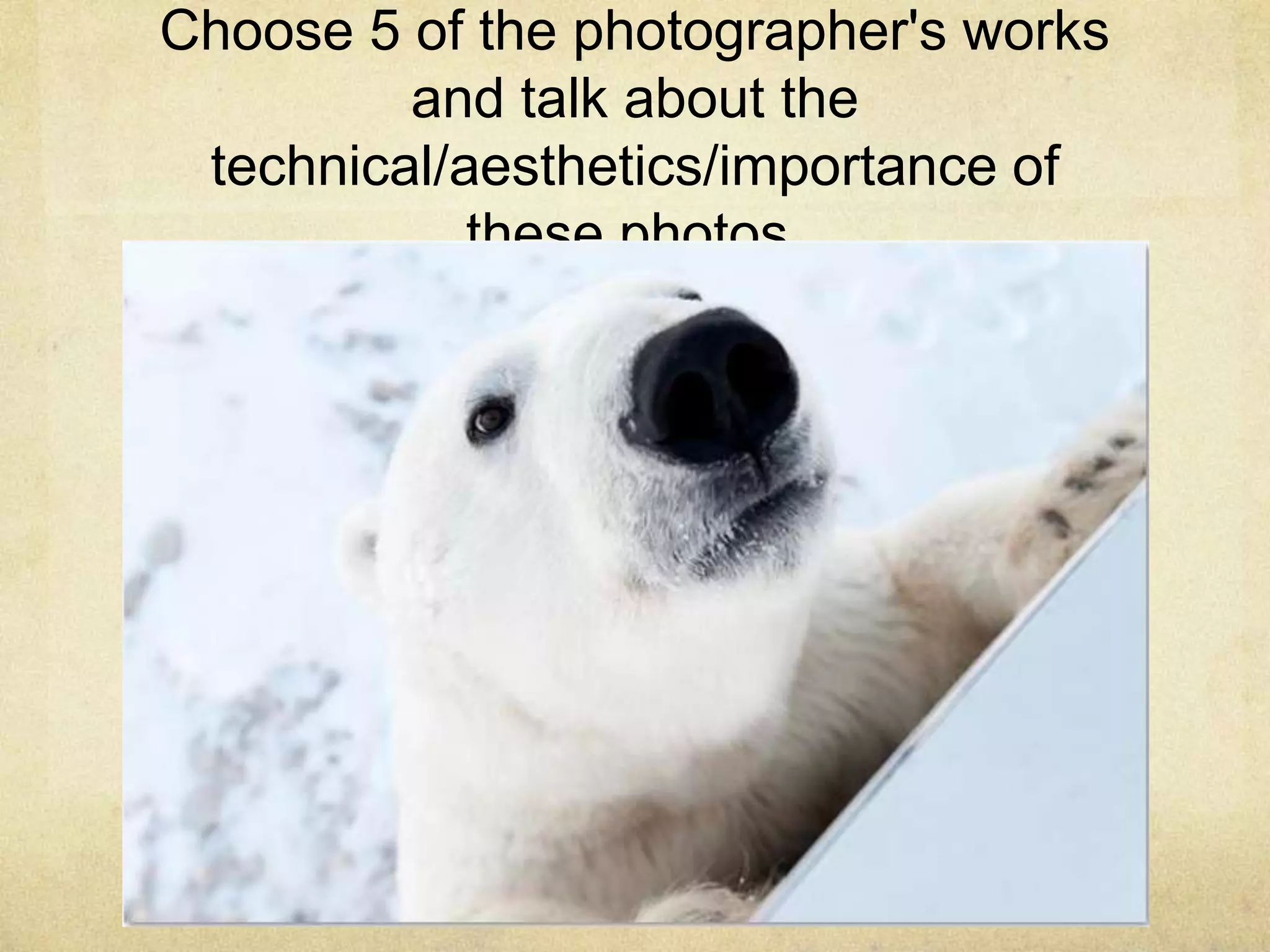 Choose 5 of the photographer's works
and talk about the
technical/aesthetics/importance of
these photos.
 