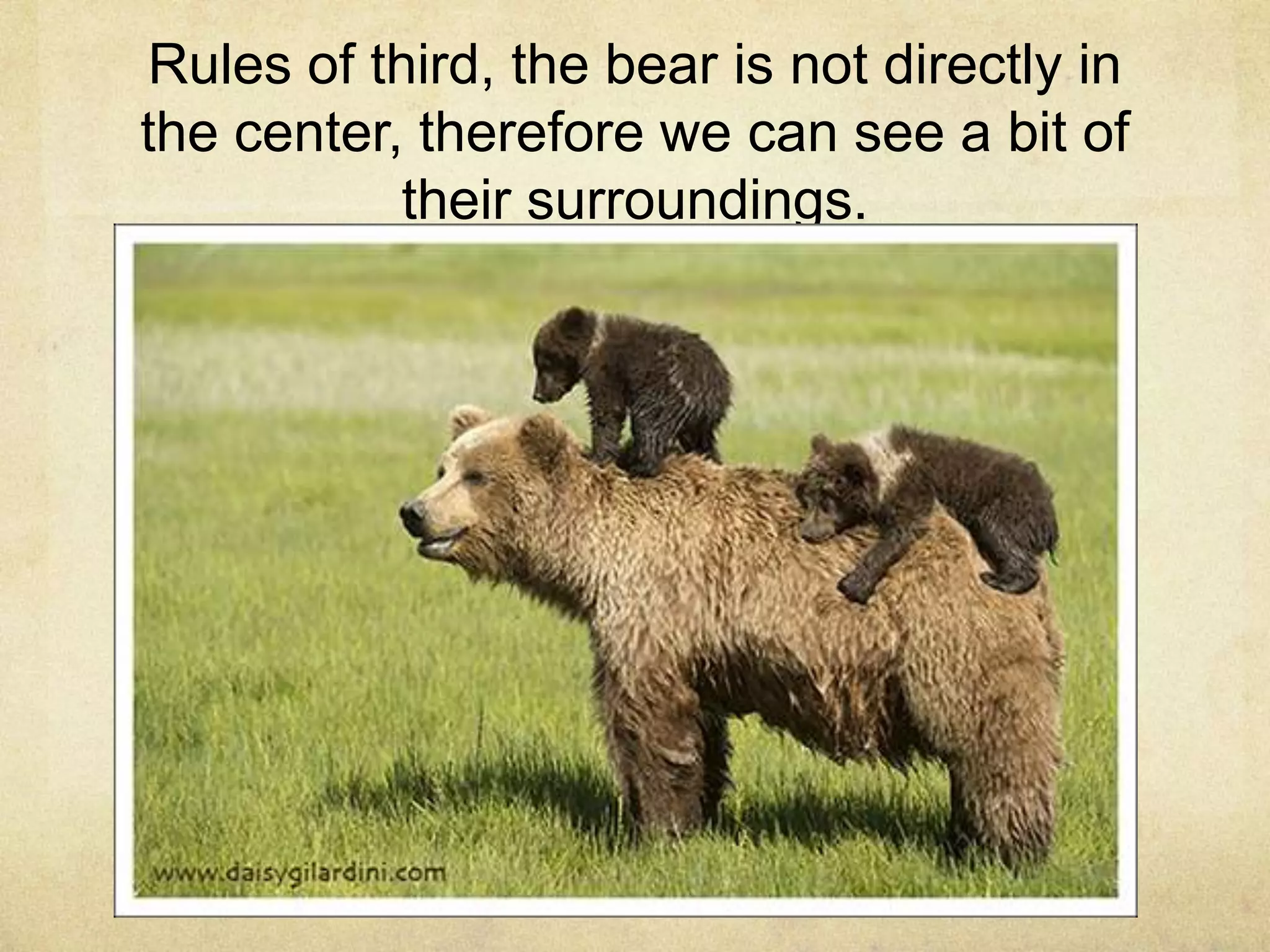 Rules of third, the bear is not directly in
the center, therefore we can see a bit of
their surroundings.
 