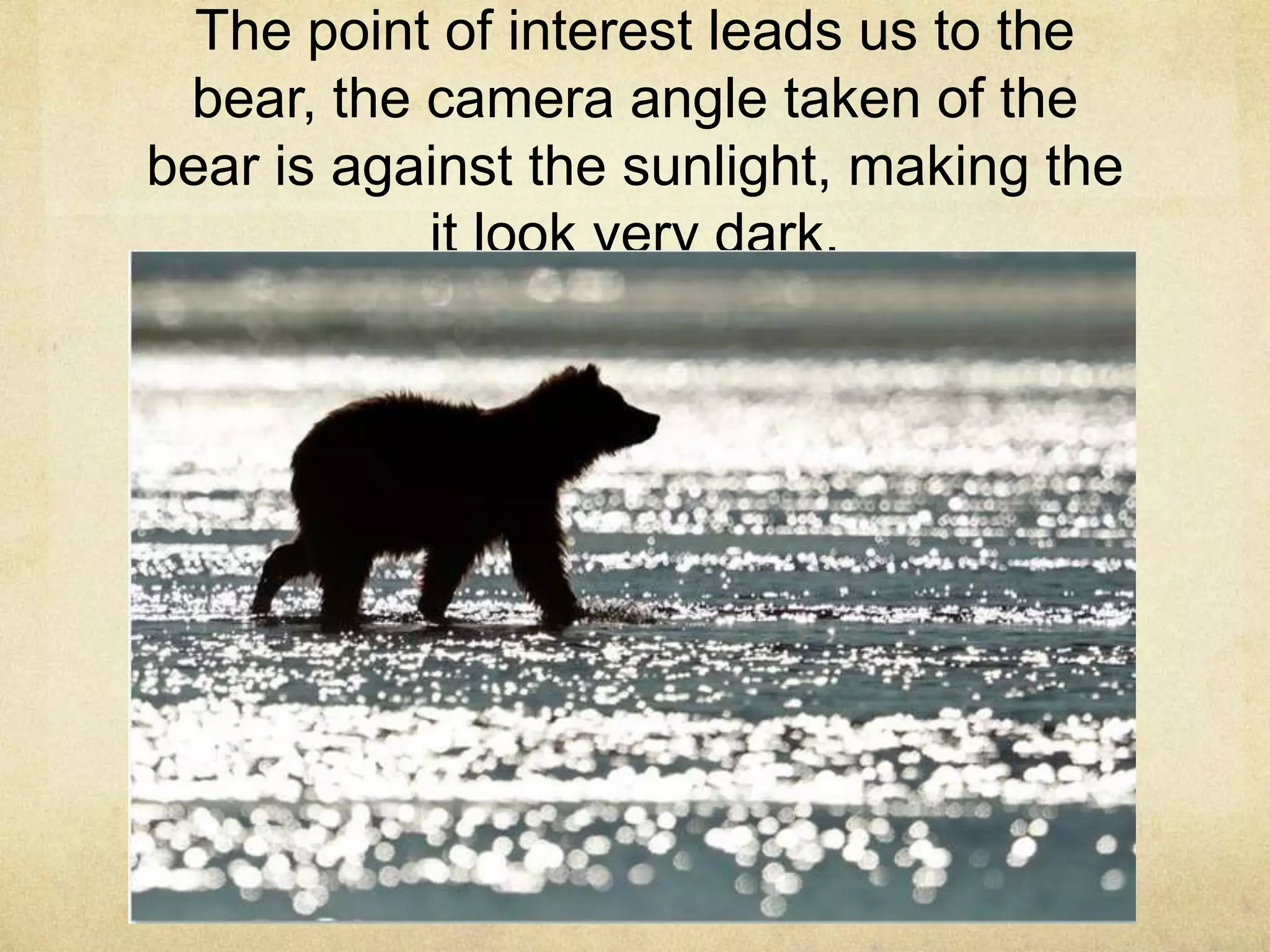 The point of interest leads us to the
bear, the camera angle taken of the
bear is against the sunlight, making the
it look very dark.
 