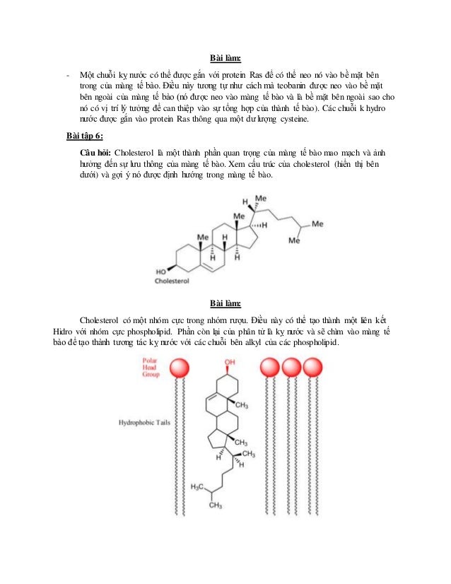 Pills that keep you awake picture