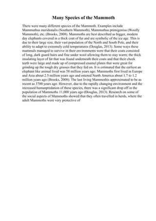 Many Species of the Mammoth
There were many different species of the Mammoth. Examples include
Mammuthus meridonalis (Southern Mammoth), Mammuthus primigenius (Woolly
Mammoth), etc. (Brooks, 2008). Mammoths are best described as bigger, modern
day elephants covered in a thick coat of fur and are symbolic of the ice age. This is
due to their large size, their vast population of the North and South Pole, and their
ability to adapt to extremely cold temperatures (Douglas, 2013). Some ways these
mammals managed to survive in their environments were that their coats consisted
of long, dark guard hairs and fine under wool allowing them to stay warm; the thick
insulating layer of fat that was found underneath their coats and that their cheek
teeth were large and made up of compressed enamel plates that were great for
grinding up the tough dry grasses that they fed on. It is estimated that the earliest an
elephant like animal lived was 58 million years ago. Mammoths first lived in Europe
and Asia about 2.5 million years ago and entered North America about 1.7 to 1.2
million years ago (Brooks, 2008). The last living Mammothis approximated to be as
recent as 3700 years ago. However, due to the rapidly changing environment and the
increased humanpredation of these species, there was a significant drop off in the
population of Mammoths 11,000 years ago (Douglas, 2013). Research on some of
the social aspects of Mammoths showed that they often travelled in herds, where the
adult Mammoths were very protective of
 