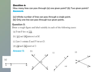 Question 4:
How many lines can pass through (a) one given point? (b) Two given points?
Answer4:
(a) Infinite number of lines can pass through a single point.
(b) Only one line can pass through two given points.
Question 5:
Draw a rough figure and label suitably in each of the following cases:
Answer 5:
 