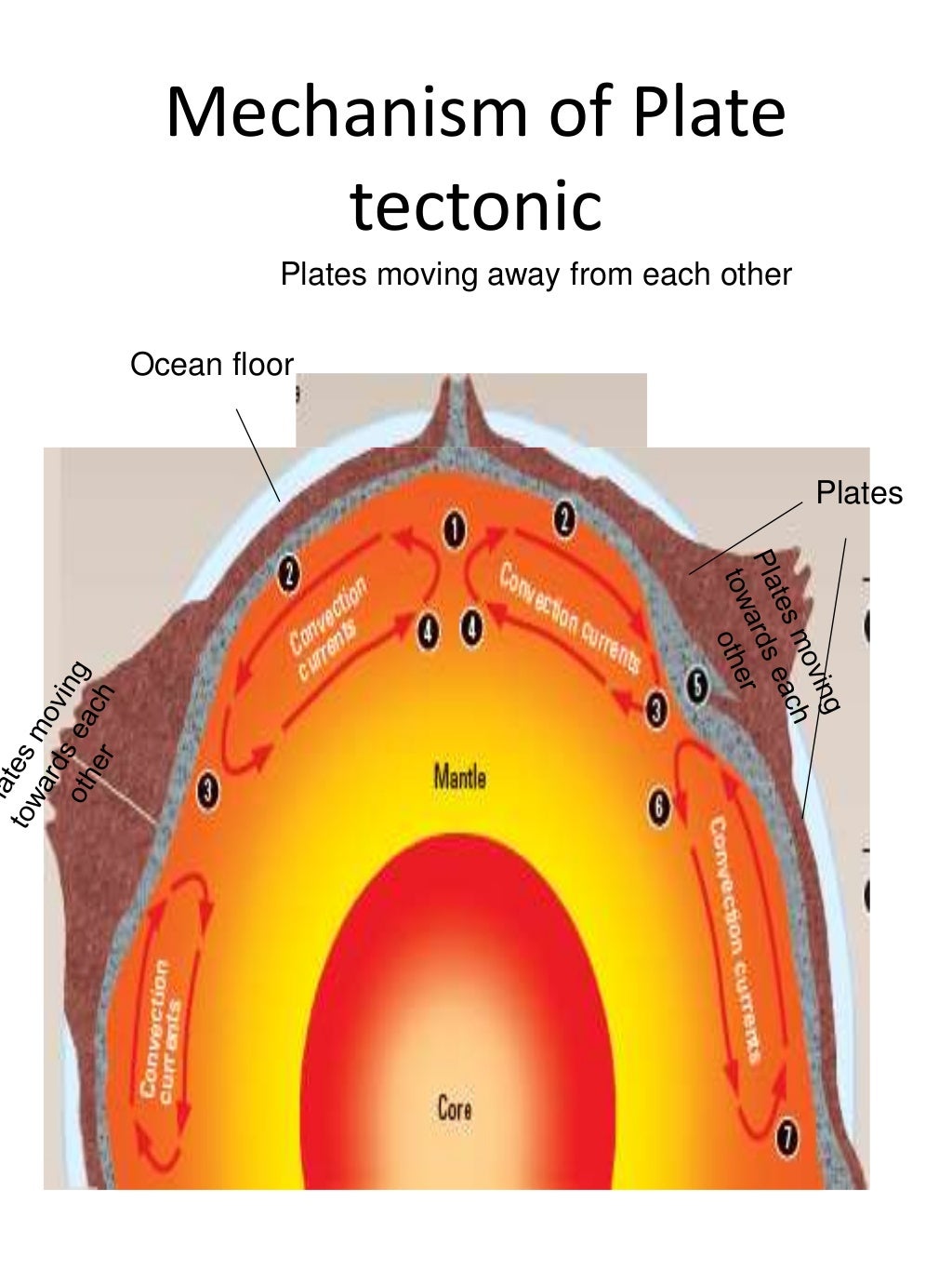 Tectonic plates homework image