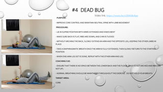 #4 DEAD BUG
PURPOSE:
- IMPROVE CORE CONTROLAND MAINTAIN NEUTRAL SPINEWITH LIMB MOVEMENT
PROCEDURE:
- LIE IN SUPINE POSITIONWITH ARMS EXTENDEDAND KNEES BENT
- MAKE SURE BACK IS FLAT, RIBS ARE DOWN, ANDCHIN ISTUCKED
-WITHOUTARCHINGTHE BACK, SLOWLY EXTENDANARM ANDTHEOPPOSITE LEG, KEEPINGTHEOTHER LIMBS IN
PLACE
-TAKEA DIAPHRAGMATIC BREATH ONCETHEARM IS FULLY EXTENDED,THEN SLOWLY RETURNTOTHE STARTING
POSITION
-WHEN ONEARM-LEG SET IS DONE, REPEATWITHTHEOTHERARM AND LEG
COACHING CUE:
- ENSURETHATTHERE IS NO SPACE BETWEENTHE LOWER BACK ANDTHE FLOOR. (BACK IS NOTARCHEDAND RIBS ARE
NOT UP).
- NORMAL BREATHING SHOULD BE MAINTAINEDTHROUGHOUTTHE EXERCISE. DO NOT HOLDYOUR BREATH.
TARGET AREA:
CORE
Video link; https://youtu.be/s2XHGRcftpo
 