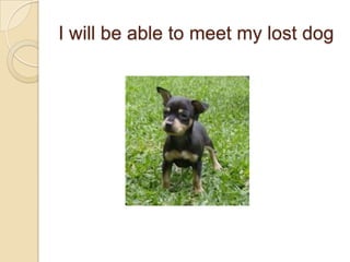 I willbeabletomeet my lostdog