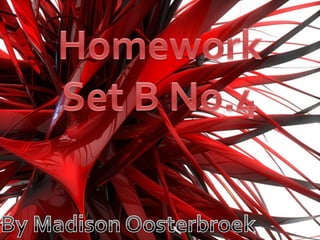 Homework  Set B No.4 By Madison Oosterbroek 