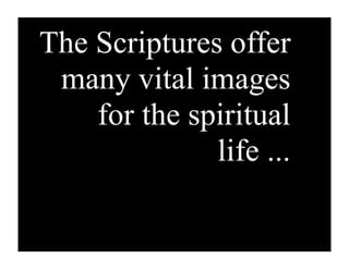 The Scriptures offer
 many vital images
    for the spiritual
              life ...
 