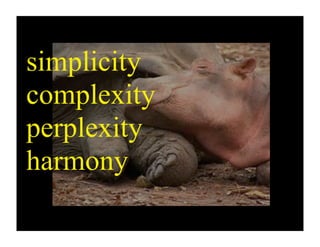 simplicity
complexity
perplexity
harmony
 