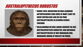 Hominid | PPTX