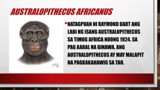 Hominid | PPTX