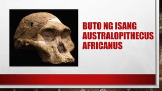 Hominid | PPTX