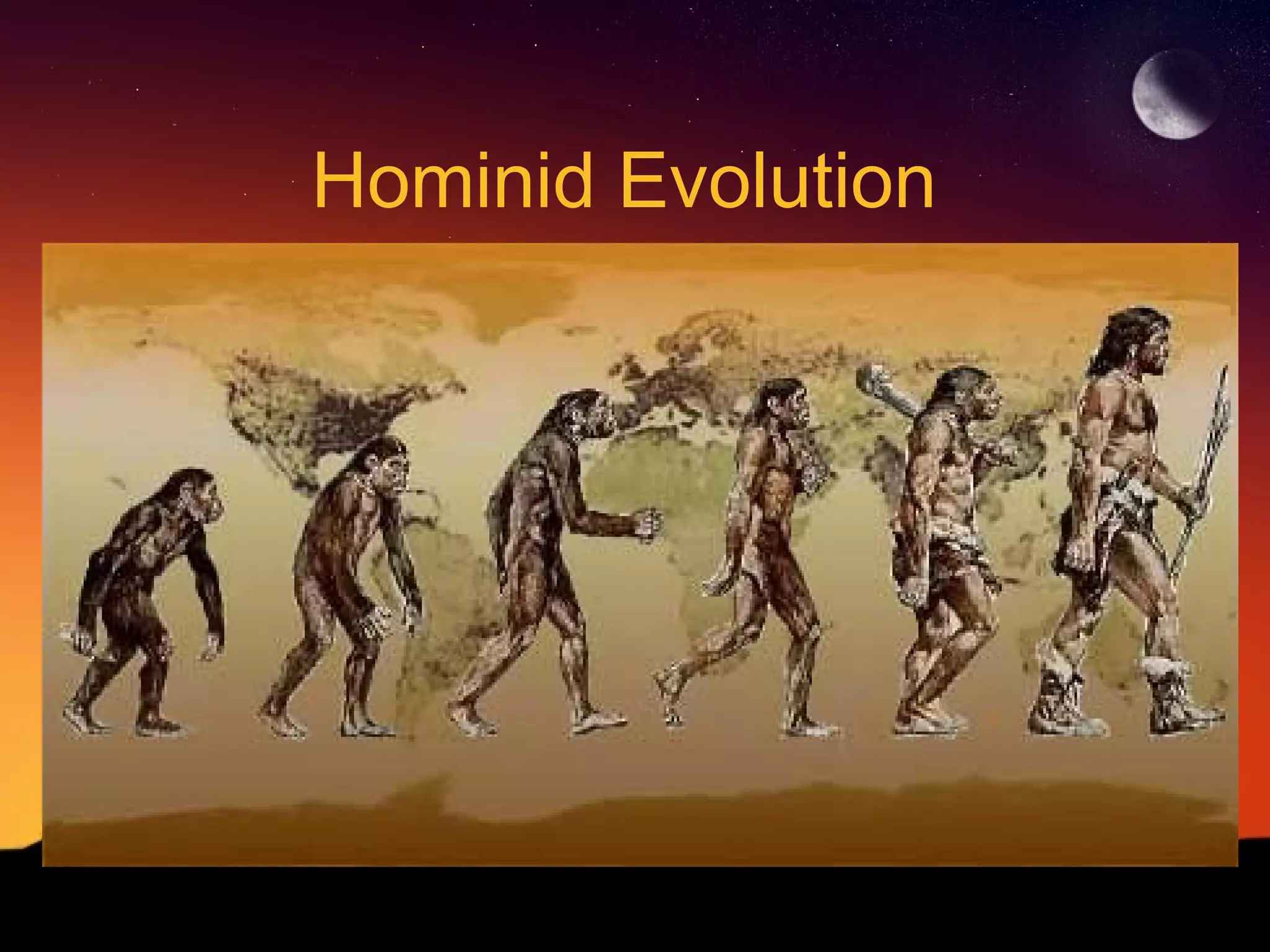 Hominid Evolution
 