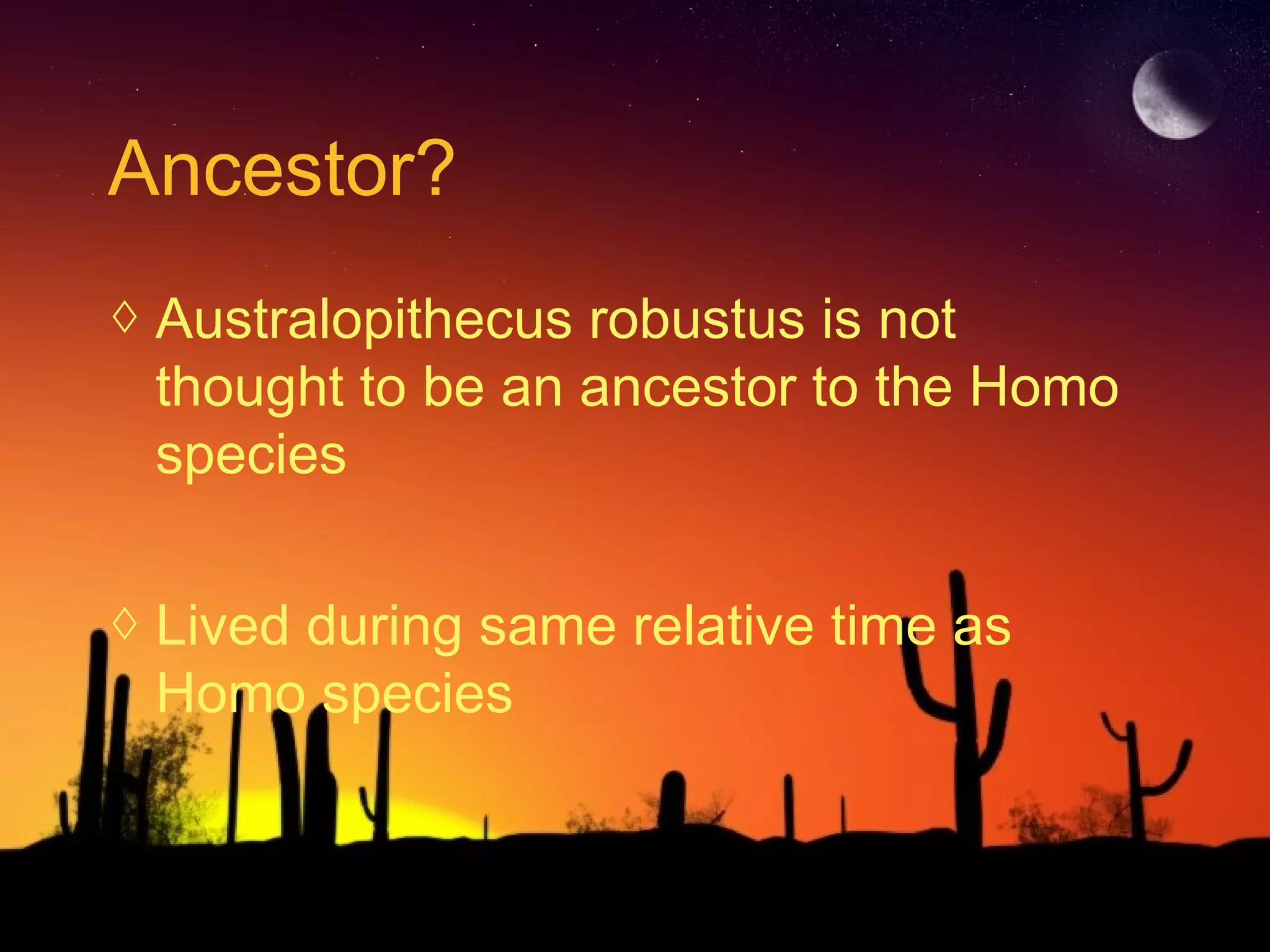 Ancestor?
◊ Australopithecus robustus is not
thought to be an ancestor to the Homo
species
◊ Lived during same relative time as
Homo species
 