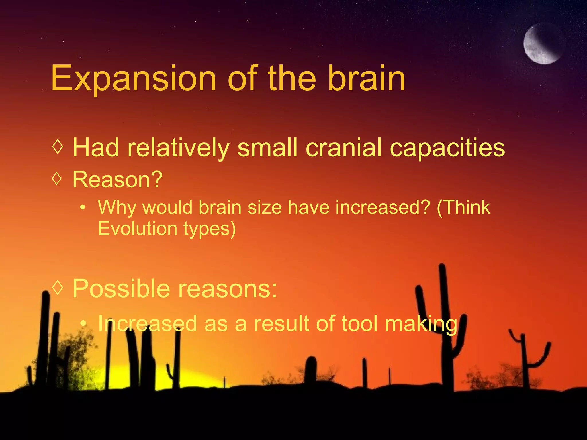 Expansion of the brain
◊ Had relatively small cranial capacities
◊ Reason?
• Why would brain size have increased? (Think
Evolution types)
◊ Possible reasons:
• Increased as a result of tool making
 