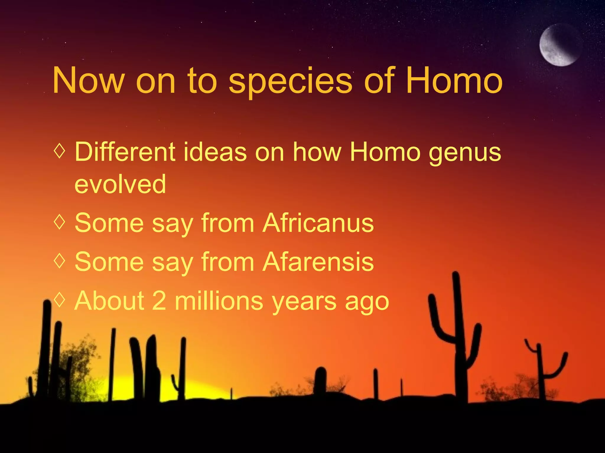 Now on to species of Homo
◊ Different ideas on how Homo genus
evolved
◊ Some say from Africanus
◊ Some say from Afarensis
◊ About 2 millions years ago
 