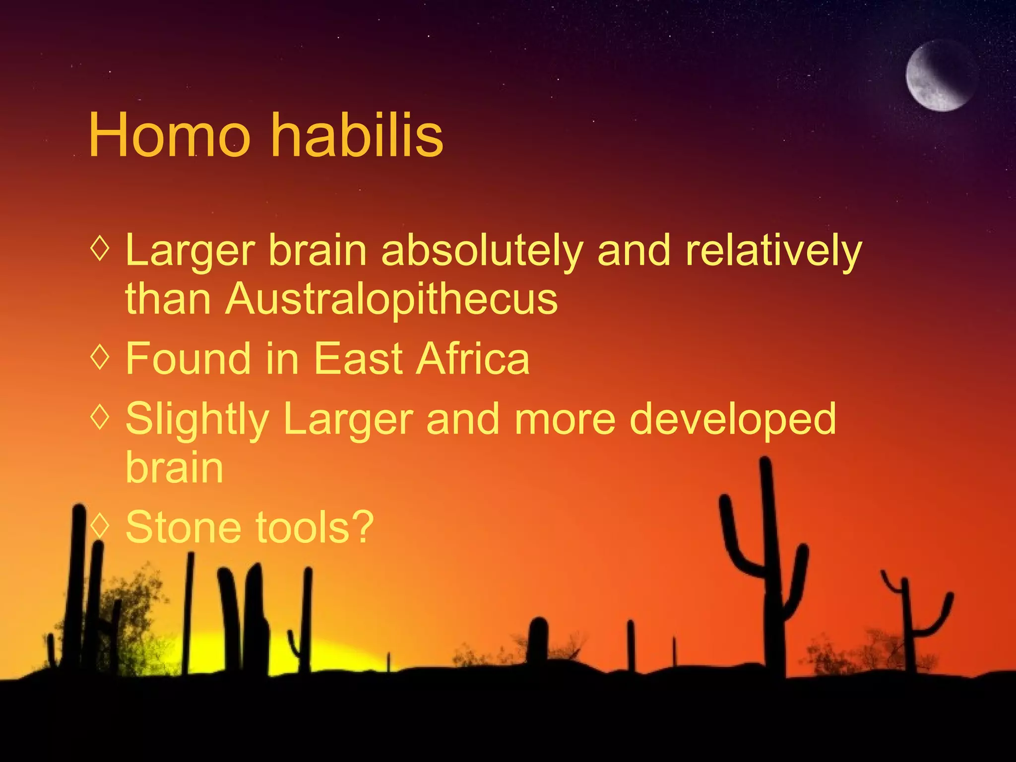 Homo habilis
◊ Larger brain absolutely and relatively
than Australopithecus
◊ Found in East Africa
◊ Slightly Larger and more developed
brain
◊ Stone tools?
 