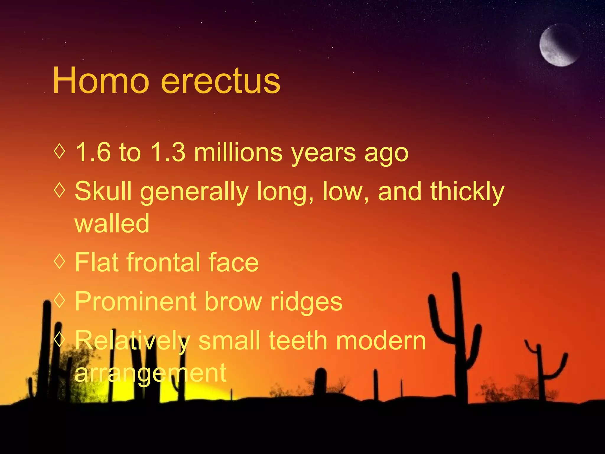 Homo erectus
◊ 1.6 to 1.3 millions years ago
◊ Skull generally long, low, and thickly
walled
◊ Flat frontal face
◊ Prominent brow ridges
◊ Relatively small teeth modern
arrangement
 