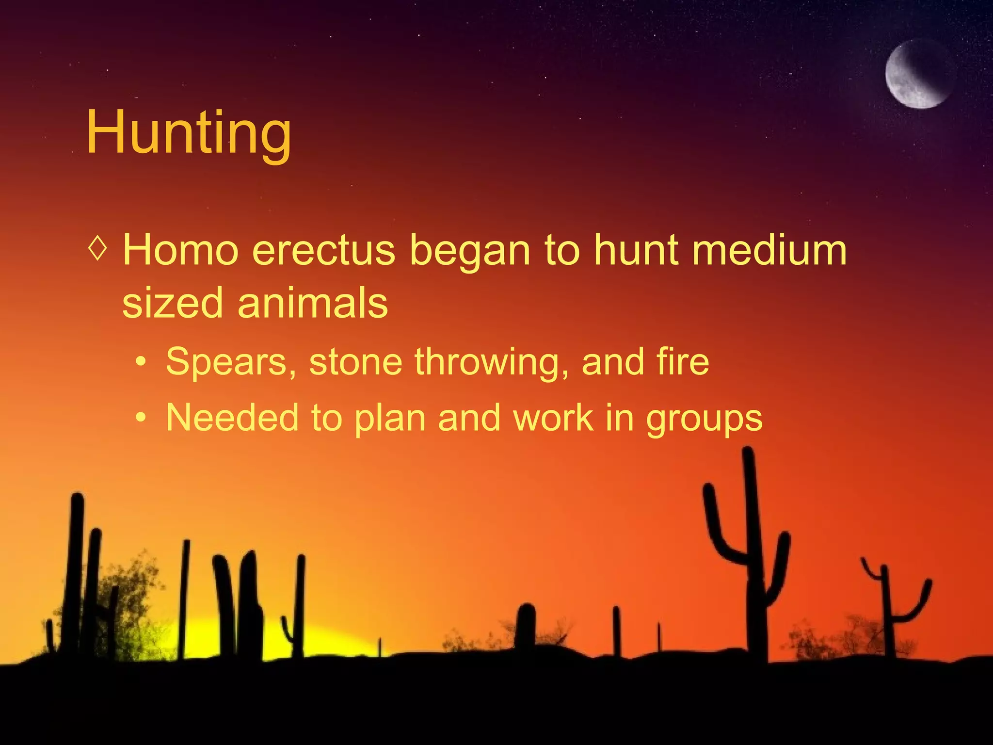 Hunting
◊ Homo erectus began to hunt medium
sized animals
• Spears, stone throwing, and fire
• Needed to plan and work in groups
 