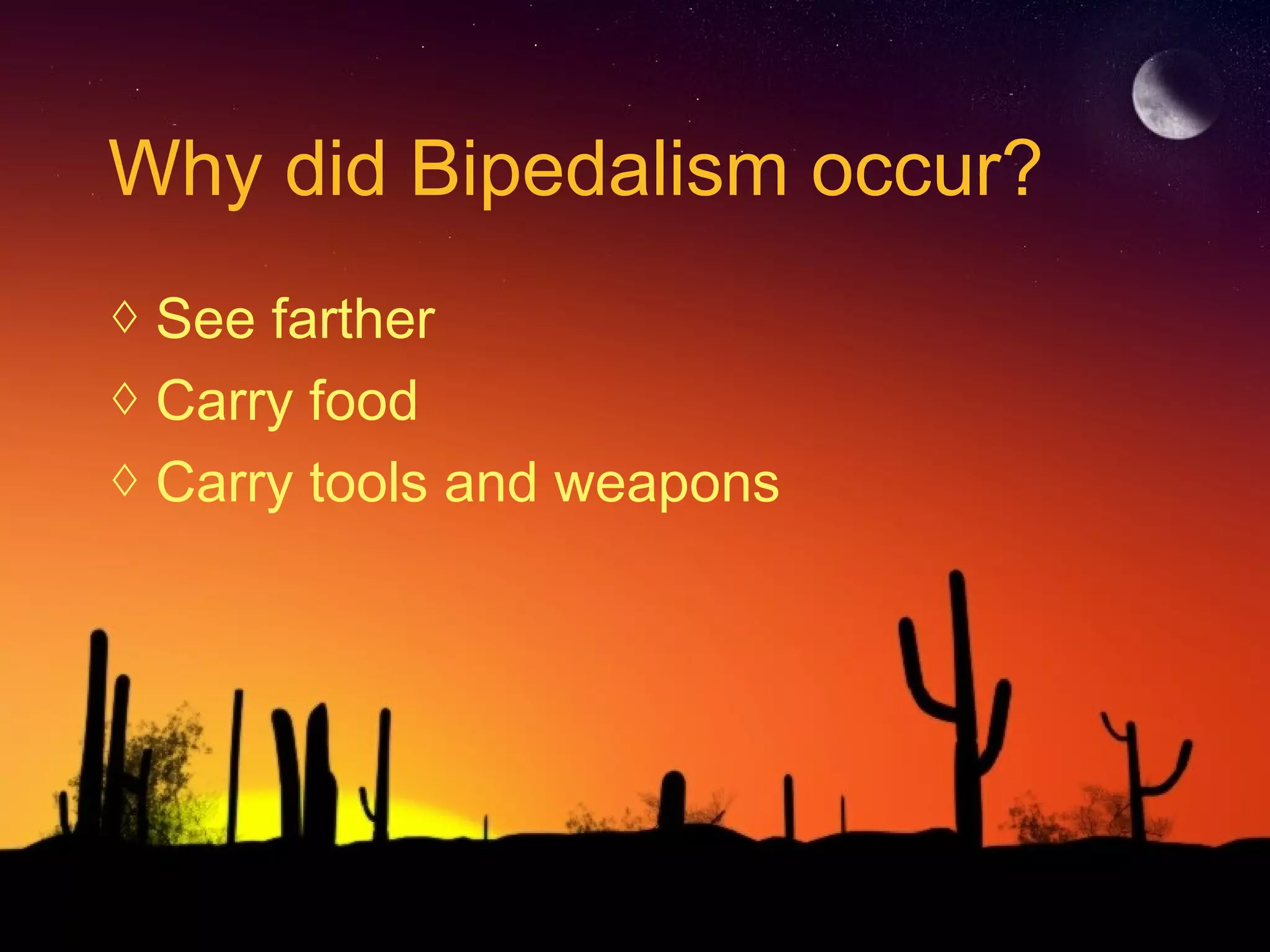 Why did Bipedalism occur?
◊ See farther
◊ Carry food
◊ Carry tools and weapons
 