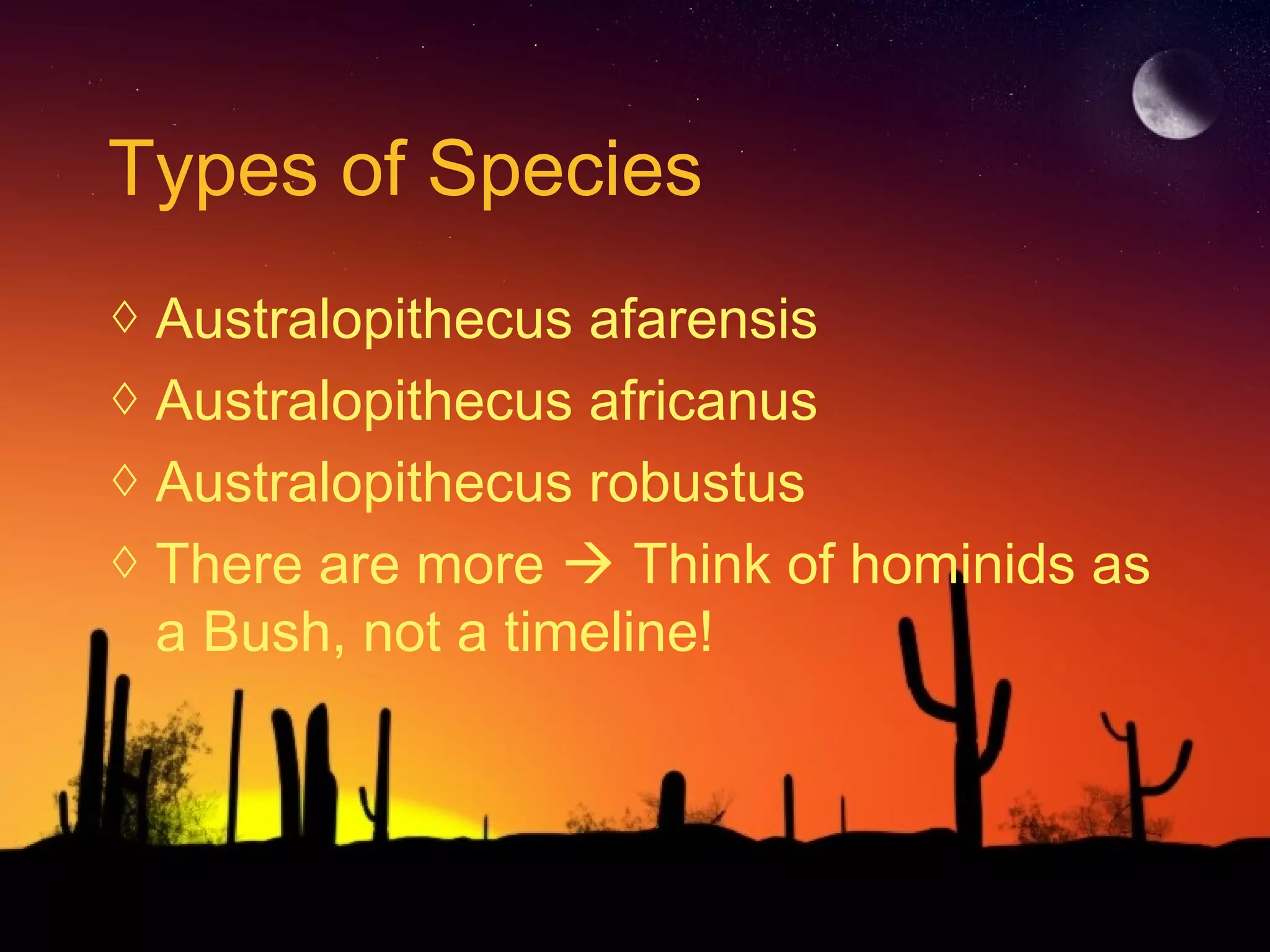 Types of Species
◊ Australopithecus afarensis
◊ Australopithecus africanus
◊ Australopithecus robustus
◊ There are more  Think of hominids as
a Bush, not a timeline!
 