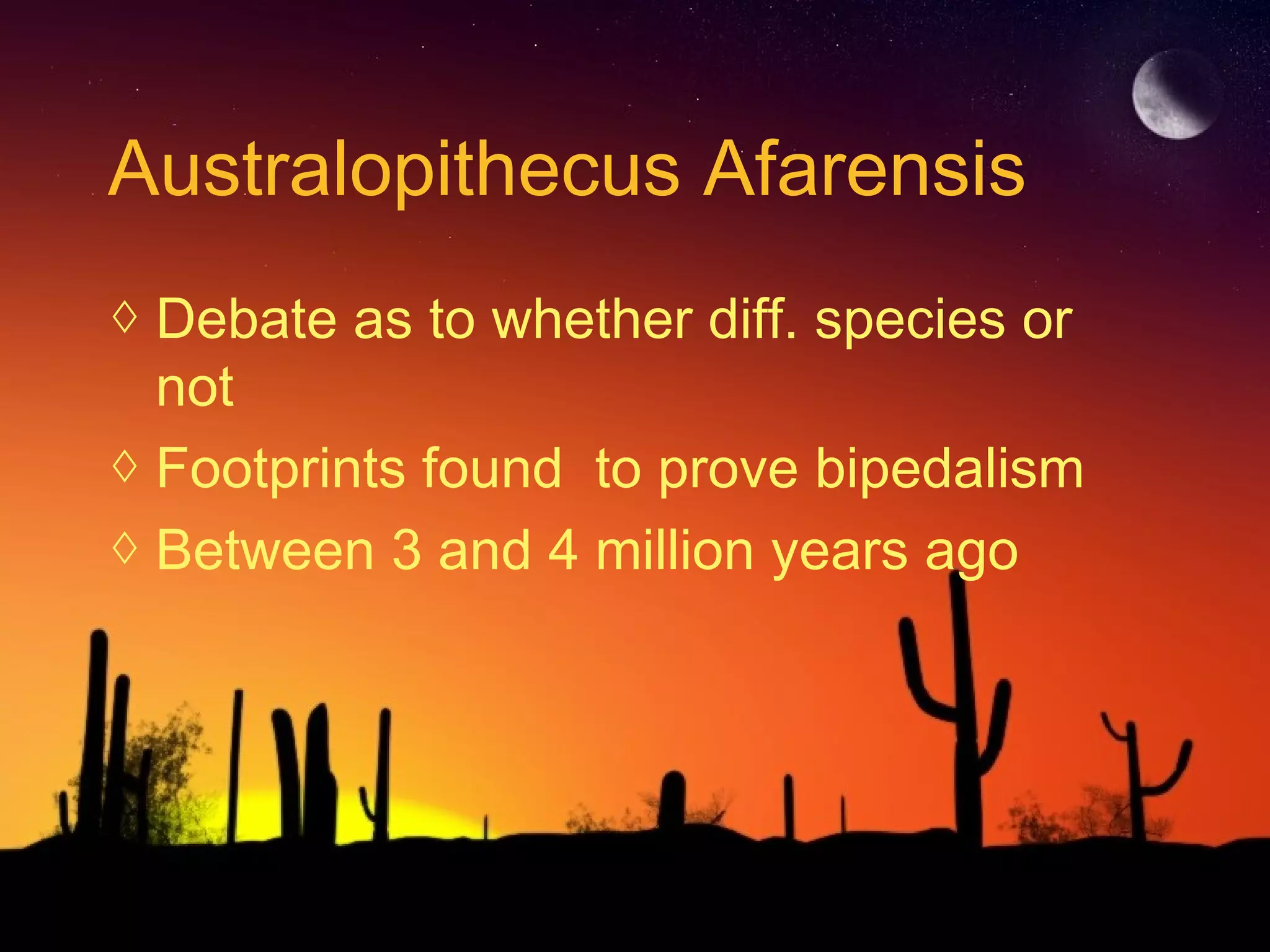Australopithecus Afarensis
◊ Debate as to whether diff. species or
not
◊ Footprints found to prove bipedalism
◊ Between 3 and 4 million years ago
 