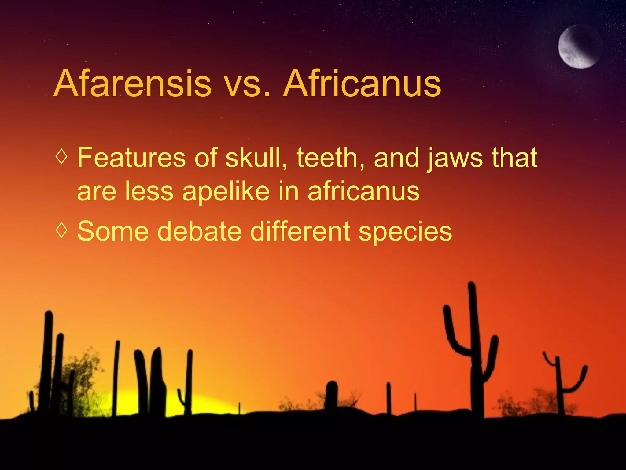 Afarensis vs. Africanus
◊ Features of skull, teeth, and jaws that
are less apelike in africanus
◊ Some debate different species
 