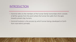 INTRODUCTION
• Hominid refers to the members of the human family homonidae which consists
of all the species from the point where the human line splits from the apes
towards present day humans.
• Hominid Evolution is the process by which human beings developed on Earth
from now-extinct primates.
 
