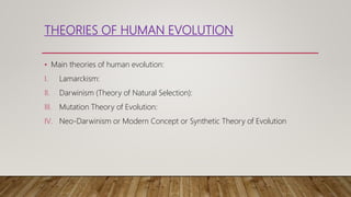 THEORIES OF HUMAN EVOLUTION
• Main theories of human evolution:
I. Lamarckism:
II. Darwinism (Theory of Natural Selection):
III. Mutation Theory of Evolution:
IV. Neo-Darwinism or Modern Concept or Synthetic Theory of Evolution
 