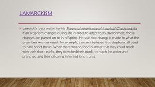 LAMARCKISM
• Lamarck is best known for his Theory of Inheritance of Acquired Characteristics
If an organism changes during life in order to adapt to its environment, those
changes are passed on to its offspring. He said that change is made by what the
organisms want or need. For example, Lamarck believed that elephants all used
to have short trunks. When there was no food or water that they could reach
with their short trunks, they stretched their trunks to reach the water and
branches, and their offspring inherited long trunks.
 