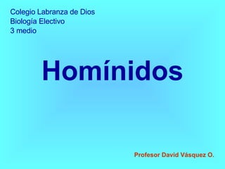 Homínidos Colegio Labranza de Dios Biología Electivo 3 medio Profesor David Vásquez O. 