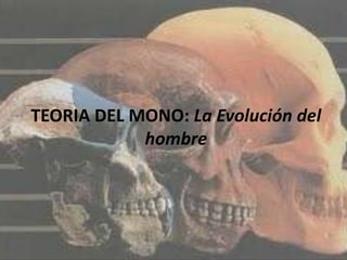 TEORIA DEL MONO: La Evolución del
            hombre
 