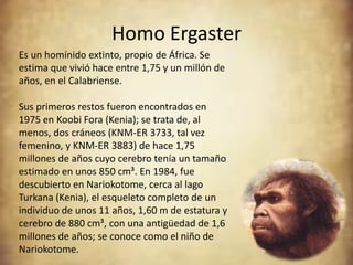 Homo Ergaster
Es un homínido extinto, propio de África. Se
estima que vivió hace entre 1,75 y un millón de
años, en el Calabriense.

Sus primeros restos fueron encontrados en
1975 en Koobi Fora (Kenia); se trata de, al
menos, dos cráneos (KNM-ER 3733, tal vez
femenino, y KNM-ER 3883) de hace 1,75
millones de años cuyo cerebro tenía un tamaño
estimado en unos 850 cm³. En 1984, fue
descubierto en Nariokotome, cerca al lago
Turkana (Kenia), el esqueleto completo de un
individuo de unos 11 años, 1,60 m de estatura y
cerebro de 880 cm³, con una antigüedad de 1,6
millones de años; se conoce como el niño de
Nariokotome.
 