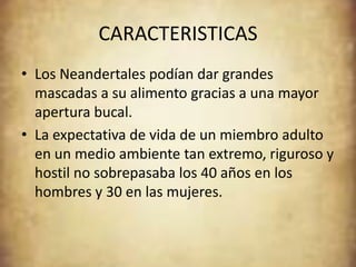 CARACTERISTICAS
• Los Neandertales podían dar grandes
  mascadas a su alimento gracias a una mayor
  apertura bucal.
• La expectativa de vida de un miembro adulto
  en un medio ambiente tan extremo, riguroso y
  hostil no sobrepasaba los 40 años en los
  hombres y 30 en las mujeres.
 