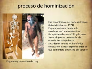proceso de hominización

                                 • Fue encontrado en el norte de Etiopía.
                                   (24 noviembre de 1974)
                                 • Esqueleto de una hembra de
                                   alrededor de 1 metro de altura.
                                 • De aproximadamente 27 kg de peso.
                                 • Se concluyó que pertenecía a la
                                   especie Australopithecus.
                                 • Lucy demostró que los homínidos
                                   empezaron a andar erguidos antes de
                                   que aumentara el tamaño del cerebro



Esqueleto y recreación de Lucy
 