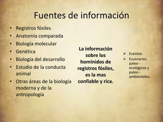 Fuentes de información
• Registros fósiles
• Anatomía comparada
• Biología molecular
                                La información
• Genética                                           Eventos
                                   sobre los
• Biología del desarrollo        homínidos de
                                                     Escenarios
                                                      paleo -
• Estudio de la conducta       registros fósiles,     ecológicos y
  animal                                              paleo -
                                   es la mas          ambientales.
• Otras áreas de la biología   confiable y rica.
  moderna y de la
  antropología
 