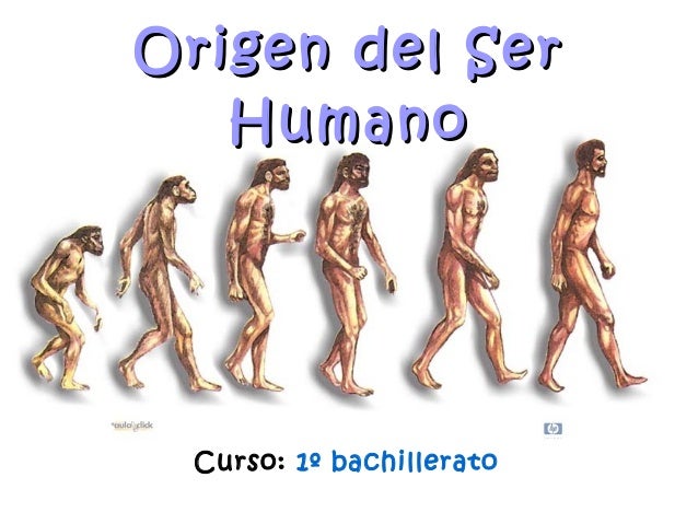 HOMINIDOS (Origen del ser humano)