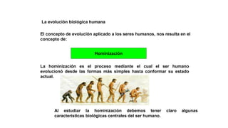 La evolución biológica humana
El concepto de evolución aplicado a los seres humanos, nos resulta en el
concepto de:
Hominización
La hominización es el proceso mediante el cual el ser humano
evolucionó desde las formas más simples hasta conformar su estado
actual.
Al estudiar la hominización debemos tener claro algunas
características biológicas centrales del ser humano.
 