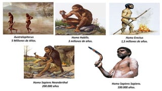 Australopitecus
5 Millones de Años.
Homo Habilis.
3 millones de años.
Homo Erectus
1,5 millones de años.
Homo Sapiens Neanderthal
200.000 años
Homo Sapiens Sapiens.
100.000 años.
 