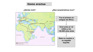 Homo erectus
¿Dónde vivió? ¿Qué características tuvo?
.
Fue el primero en
emigrar de África.
Vivió entre el 1,8
millón y los
130.000 años atrás
Debe su nombre a
su espalda
erguida.
 