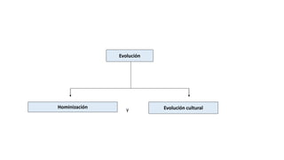 Evolución
Hominización y Evolución cultural
 