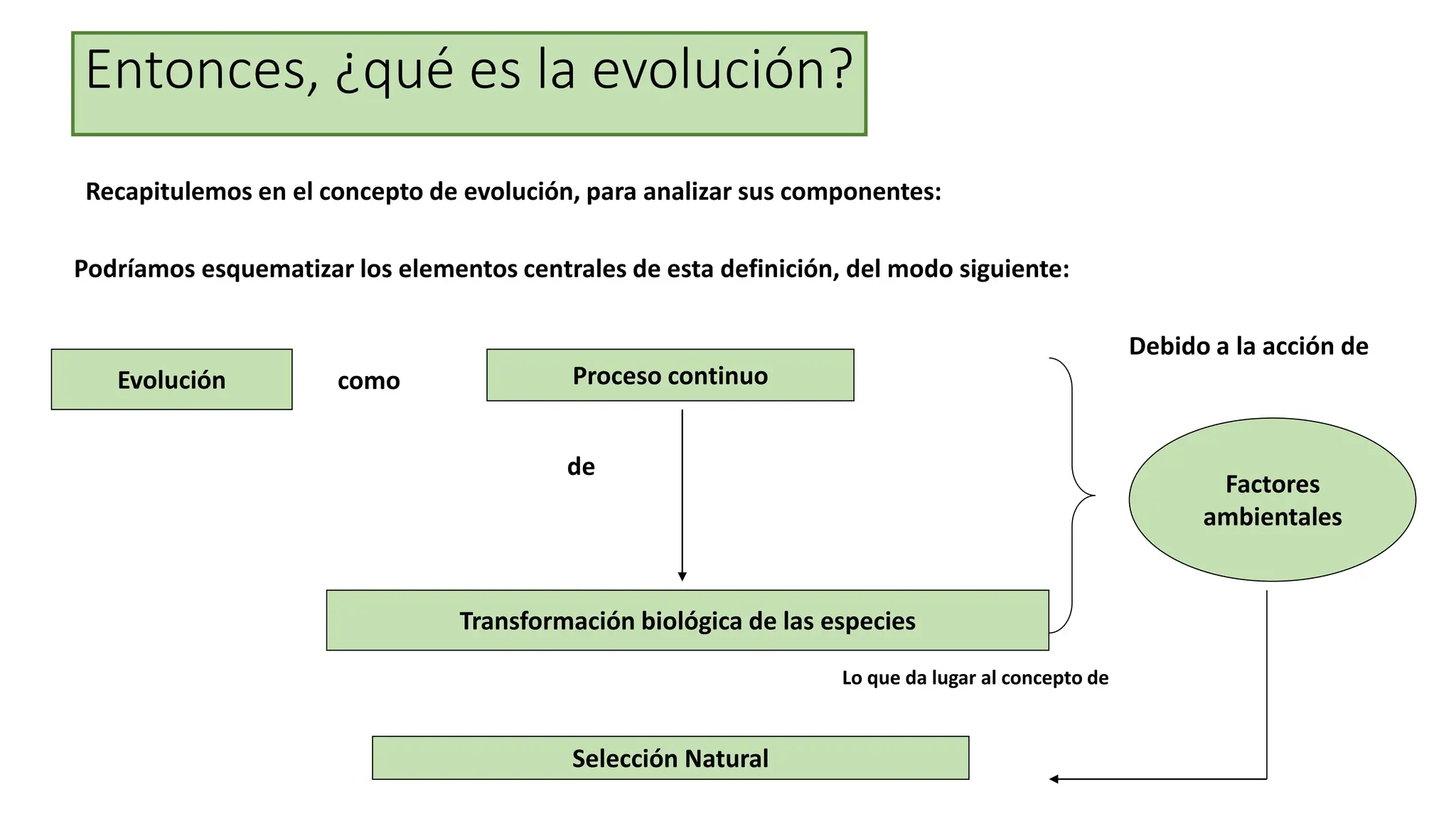 Entonces, ¿qué es la evolución?
Recapitulemos en el concepto de evolución, para analizar sus componentes:
Podríamos esquematizar los elementos centrales de esta definición, del modo siguiente:
Proceso continuo
Evolución como
Transformación biológica de las especies
Factores
ambientales
Debido a la acción de
de
Lo que da lugar al concepto de
Selección Natural
 