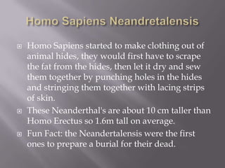 Homo Sapiens NeandretalensisHomo Sapiens started to make clothing out of animal hides, they would first have to scrape the fat from the hides, then let it dry and sew them together by punching holes in the hides and stringing themtogether with lacing strips of skin.These Neanderthal's are about 10 cm taller than Homo Erectus so 1.6m tall on average.Fun Fact: the Neandertalensis were the first ones to prepare a burial for their dead.