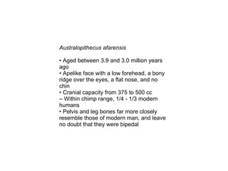 Hominids | PPT