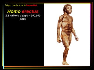 Origen i evolució de la humanitat


  Homo erectus
1,8 milions d’anys – 300.000
            anys
 