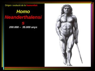 Origen i evolució de la humanitat


    Homo
Neanderthalensi
      s
    200.000 – 35.000 anys
 