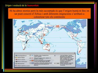 Origen i evolució de la humanitat

    Hi ha altres teories però la més acceptada és que l’origen humà té lloc en
        un punt concret d’Àfrica i amb diferents migracions s’arribarà a
                           colonitzar tots els continents
 