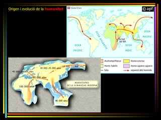 Origen i evolució de la humanitat
 