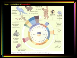Origen i evolució de la humanitat
 