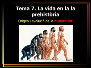 Tema 7. La vida en la la
     prehistòria
 Origen i evolució de la humanitat
 
