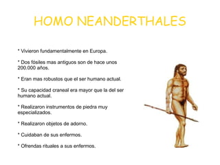 HOMO NEANDERTHALES
* Vivieron fundamentalmente en Europa.
* Dos fósiles mas antiguos son de hace unos
200.000 años.
* Eran mas robustos que el ser humano actual.
* Su capacidad craneal era mayor que la del ser
humano actual.
* Realizaron instrumentos de piedra muy
especializados.
* Realizaron objetos de adorno.
* Cuidaban de sus enfermos.
* Ofrendas rituales a sus enfermos.
 
